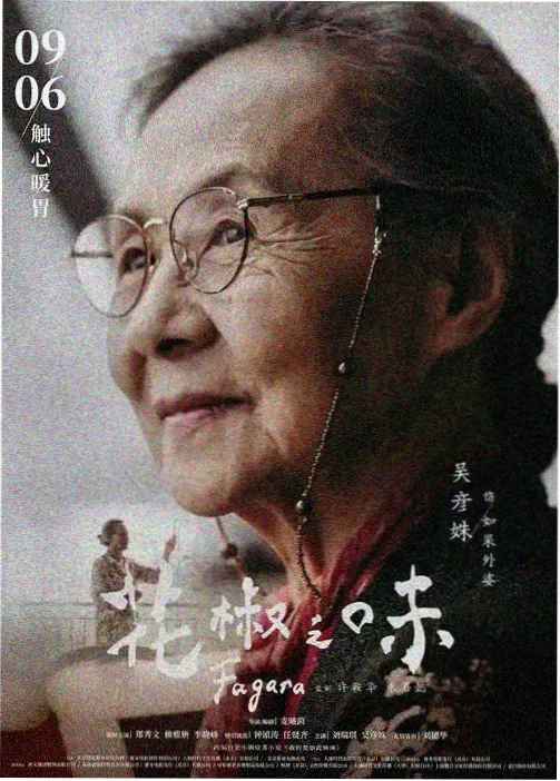 国语一区高分榜单第七名作品封面